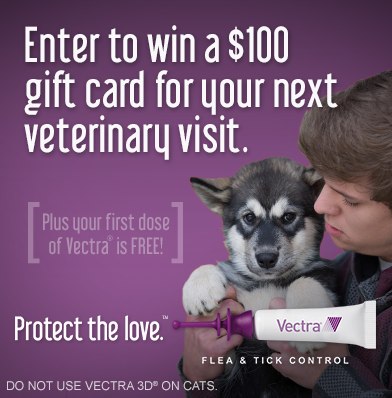  photo Preview_zps9a80e74c.jpg