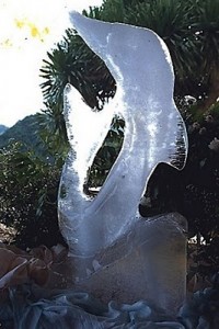 icecarving-dolphin